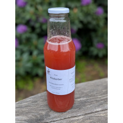 Rhabarber Sirup
