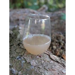 Traubensaft (klar)